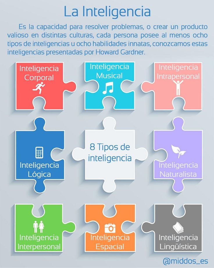 Los 8 tipos de inteligencia